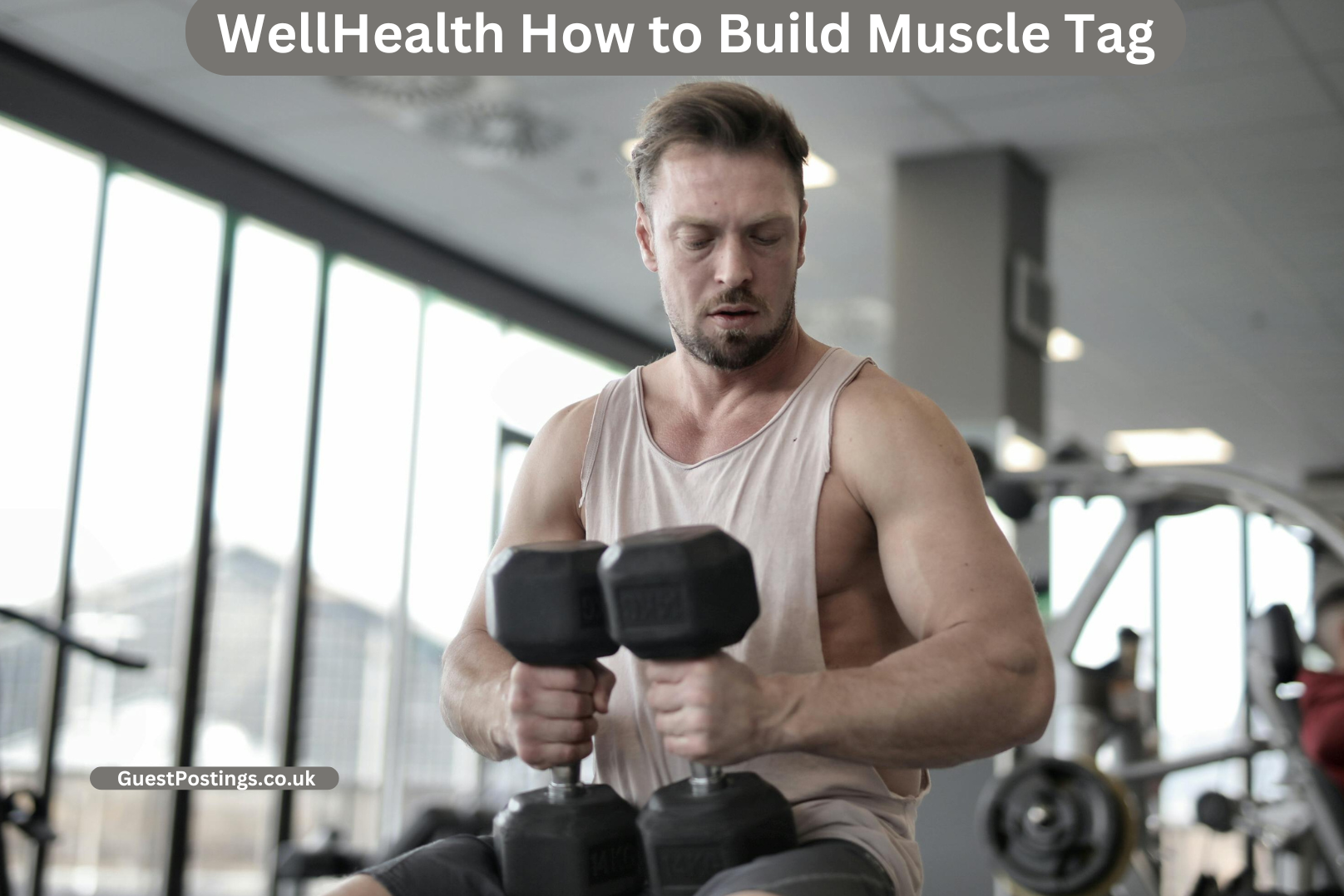 wellhealth how to build muscle tag